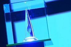 EURELECTRIC Award